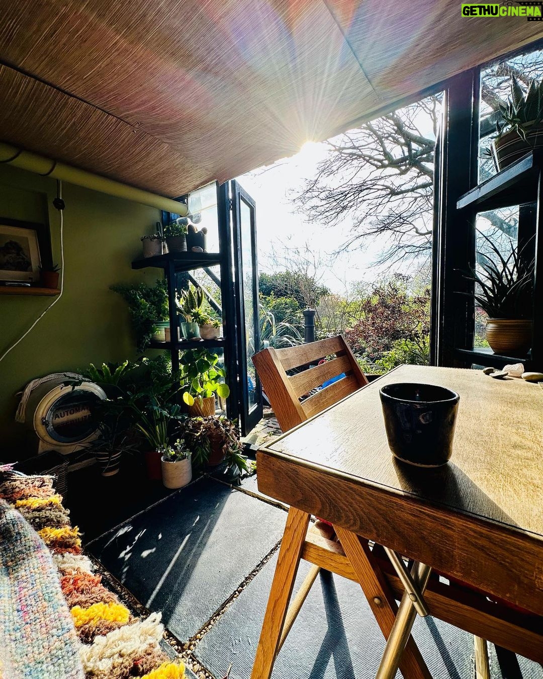 Louise Brealey Instagram - In Lockdown we made a den under the house for reading and writing. I painted the walls apple green like Milly Molly Mandy’s attic, found a table in a skip, bought grass wallpaper made of actual grass for the ceiling. I filled it with ferns, cacti, fleshy succulents with leaves like ear lobes & the spoils from thirty years of car-boot sales. These include an old postcard of the Pantheon (Shepherds Bush), an embroidery of an owl in a birch tree (Toronto), a 1956 painting of a basket of fruit (NYC), an Automatic Steriliser (Bristol) and the belly of a crocodile (Wellingborough). The ceiling is only 5’7” high in here (I’m little, so I’m alright, Jack) but there’s a day-bed with cushions and blankets and it faces west so the Spring sun has found me. Last winter the old doors fell off and the foxes came to camp. Today, a whiff of Sadolin from the new doors, and the sound of London’s birds singing in the Spring and the sun down, over the hill and far away. Gilb, seldom one to miss a shot at a sunbathe, is in seventh heaven. We have reached peak Sunday.