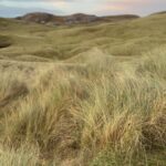 Louise Brealey Instagram – If you have no mother now, if you wanted to be a mother and could not did not are not, I am standing on the top of Eilean na h-Aiteig, with the sea birds and the sharp grass and the wind, and holding you in my heart.