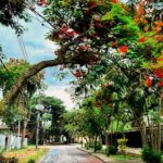 Luciano Quirino Instagram –