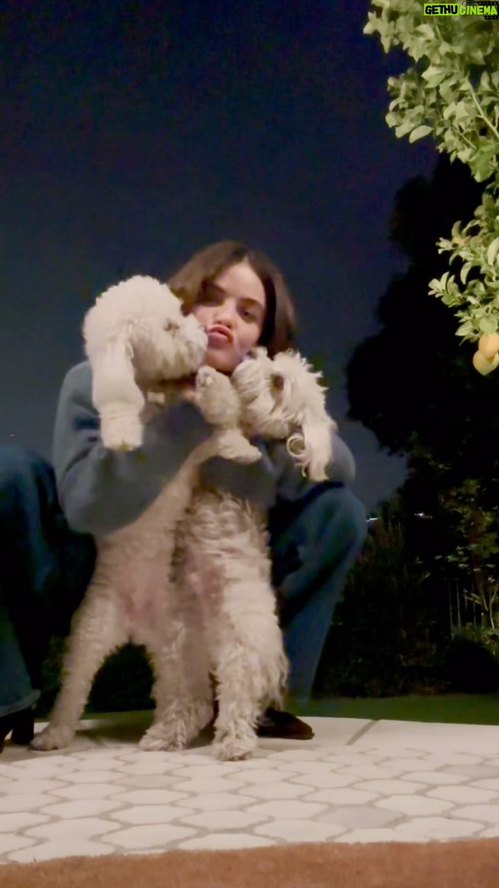 Lucy Hale - 27.1K Likes - #PetSmartPartner I had some adorable, unexpected guests who were spreading a little holiday cheer ♥️
This year Elvis, Ethel, and I are celebrating by giving back with donations to @PetSmartCharities. @PetSmart will match up to $50,000 for every dollar donated until 12/27. Go to PetSmartCharities.org linked in my stories to learn more ♥