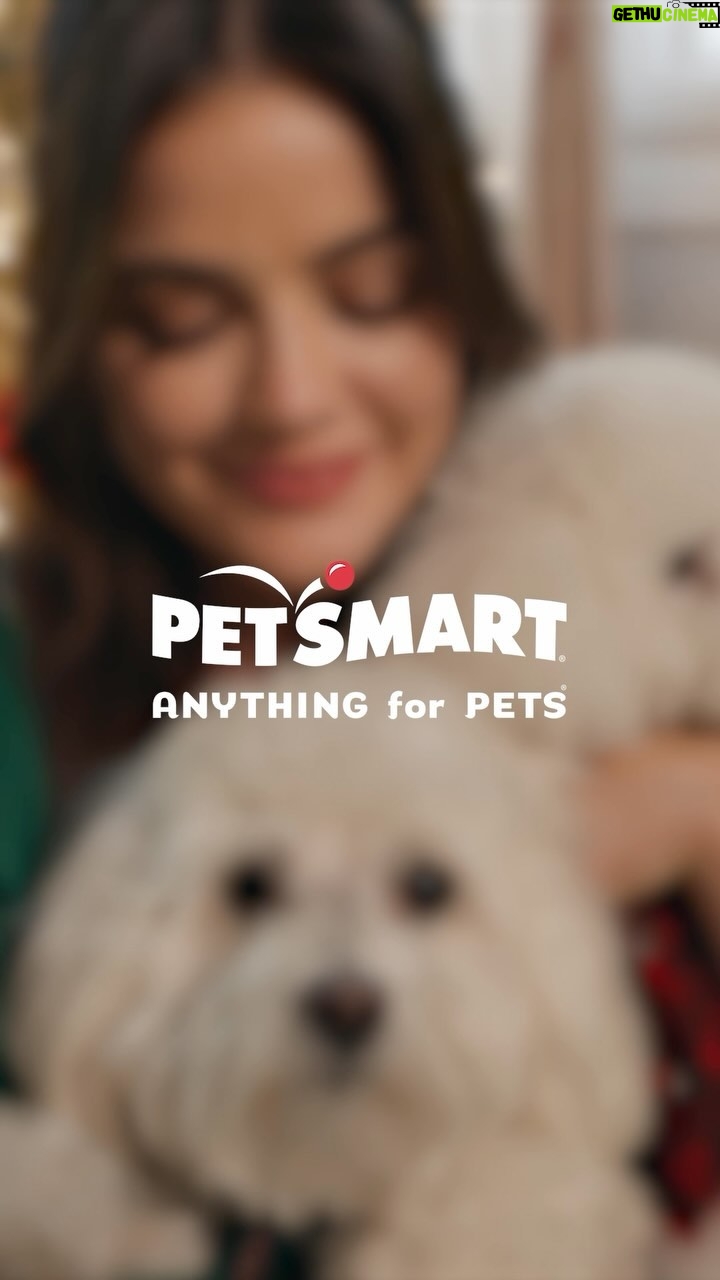 Lucy Hale - 20.3K Likes - #PetSmartPartner Elvis, Ethel and I are so excited to team up with @petsmart this holiday season and share what it’s like to do #AnythingForPets 🎁 ps. They were absolute superstars.