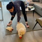 Lucy Hale Instagram - Elvis giving his soft launch into thriving in new environments.