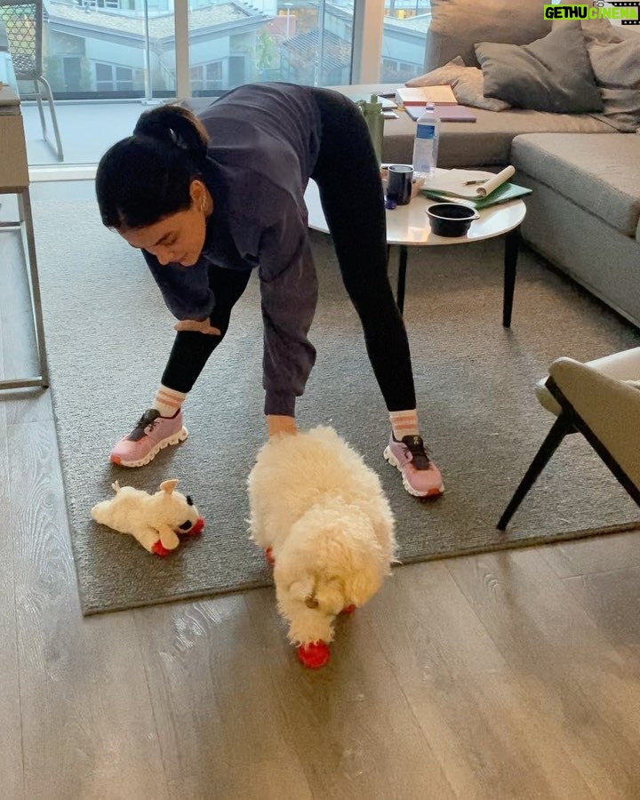 Lucy Hale Instagram - Elvis giving his soft launch into thriving in new environments.