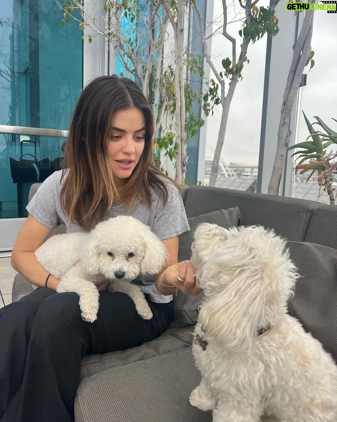 Lucy Hale Instagram - la nyc kelowna with a dash of nashville