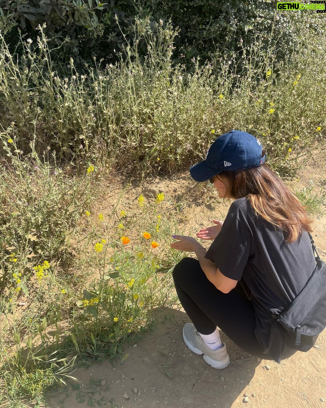 Lucy Hale Instagram - this last month has varied from getting emotional about flowers to getting my phone stolen out of my pocket to cry-laughing over Claire’s 3 min voice memos to a mild emotional breakdown to reading books about the Art of Allowing and so on …character building 😂🫶🏻