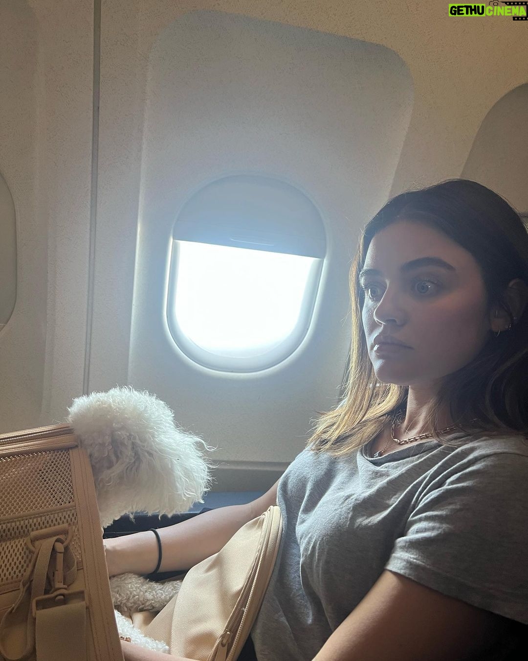 Lucy Hale Instagram - this last month has varied from getting emotional about flowers to getting my phone stolen out of my pocket to cry-laughing over Claire’s 3 min voice memos to a mild emotional breakdown to reading books about the Art of Allowing and so on …character building 😂🫶🏻