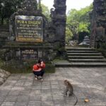 Lucy Hale Instagram – Wow. Incredibly thankful to spend time in Bali in an effort to keep learning, healing, and growing. I am so grateful to @kuammalu & all the wonderful people I met who shared their time and energy with me 🤍 Bali, Indonesia