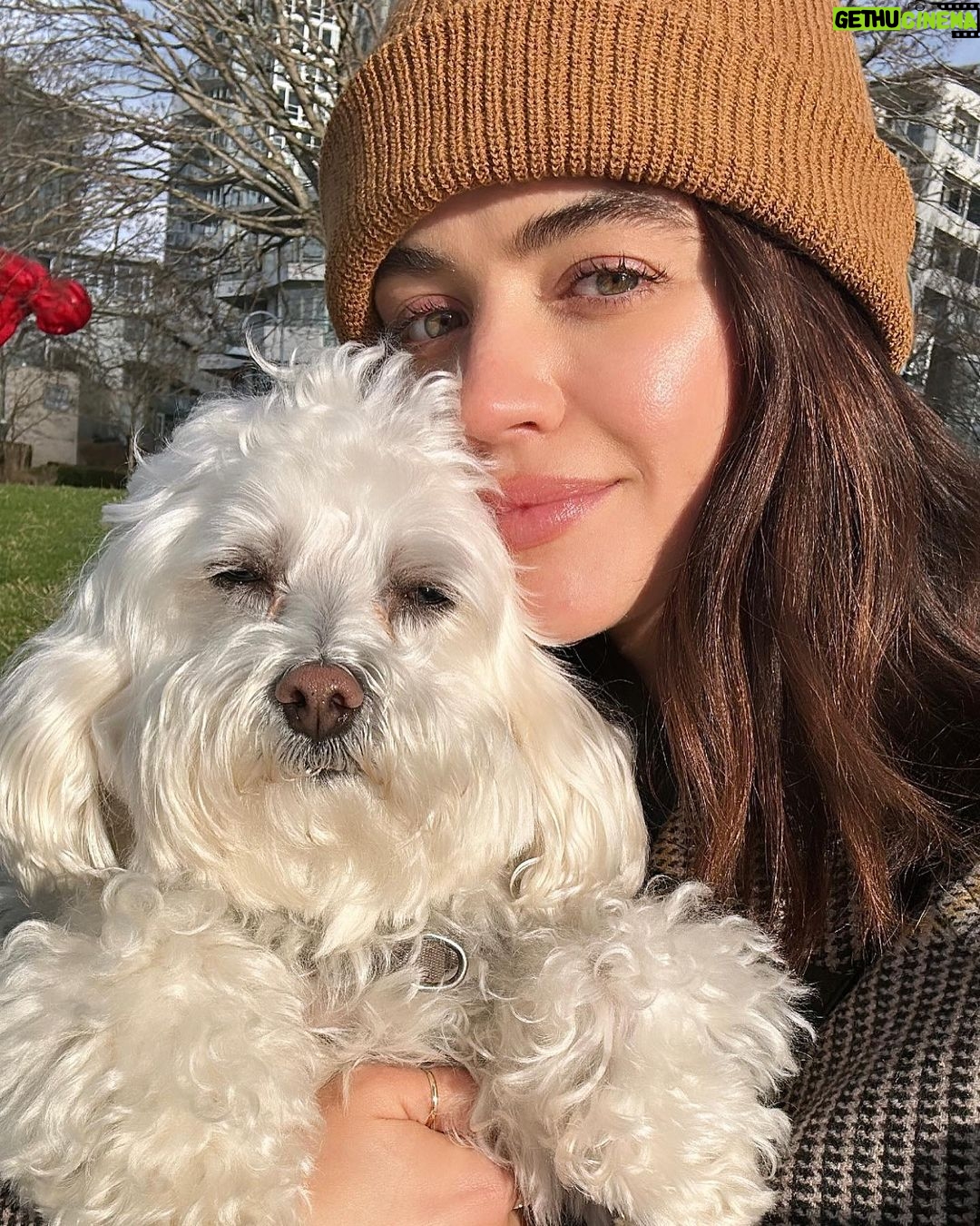 Lucy Hale Instagram - Elvis giving his soft launch into thriving in new environments.