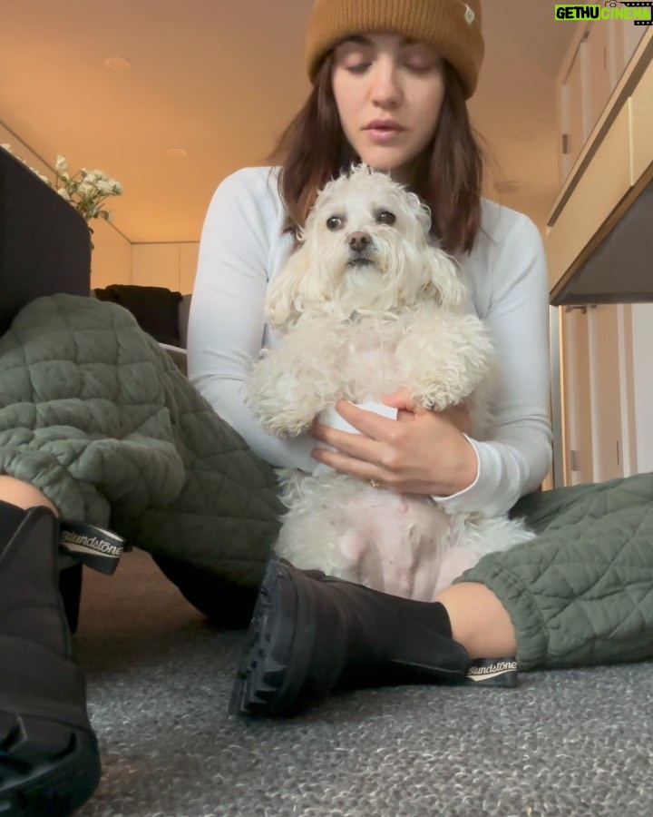 Lucy Hale Instagram - Elvis giving his soft launch into thriving in new environments.