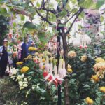 Lucy Lawless Instagram - Iconic flower of my childhood. Had trees like this by our front door. Thought these fuchsias were like ballerinas.
