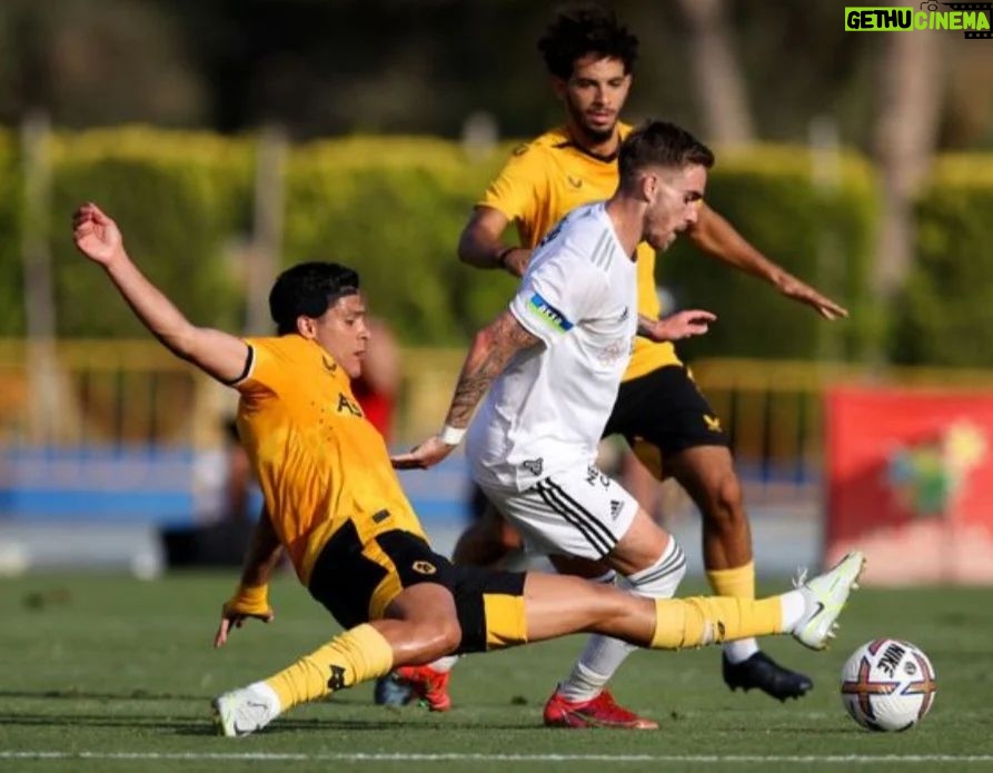 Mário Marra Instagram - Não chegaram muitas contratações e nem foram muitos amistosos de preparação para a temporada, mas o nível do futebol praticado pelo Wolverhampton tem despertado a atenção de seus torcedores. Bruno Lage vai iniciar a sua segunda temporada à frente dos Wolves e tende a buscar elevar o padrão de uma equipe que lutou por vaga para competições continentais até muito perto do fim. Se a expectativa cresceu, as lesões causam relativa aflição. Chiquinho, que terminou a temporada dando bons sinais, sofreu séria lesão no joelho e deve perder toda ou quase toda a temporada. Hoje o departamento médico confirmou que o ídolo Raul Jimenez, com lesão não tão grave no joelho, também será desfalque por algumas semanas. É uma pena. A Premier League já começa na próxima semana e os jogos estarão nos canais ESPN e no Starplus. #PremierLeaguenaEspn Crédito: foto Express and Star.