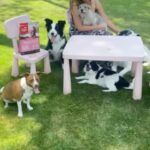 Mónica Cruz Instagram - Lo único que quiero es su felicidad ❤️ Por eso @orijen_es forma parte de nuestras vidas. Porque somos lo que comemos, y ellos también 🐕 #nutrecomoloharialanaturaleza #orijen #ad