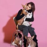Mónica Cruz Instagram - Hoy quiero compartir con vosotros algo muy especial y cercano a mi corazón. Un amigo me habló de @incloudforever_es porque sabe que me encantan los perros, y esta web me permite crearles perfiles a todos ellos y guardar sus recuerdos más preciados. Como gran amante de los animales y alguien que tiene el privilegio de compartir su vida con 6 compañeros peludos, este tipo de iniciativas me tocan el alma, porque sabemos que nuestros amigos no estarán fisicamente con nosotros para siempre, pero ahora podré hacerles un poquito inmortales. 😍 Me parece una opción maravillosa que entiende y celebra esa conexión una que tenemos con ellos, creando ese perfil online para capturar y compartir con mis seres queridos sus momentos divertidos para siempre. Os invito a que entréis en InCloudForever.com y conozcáis un poco lo que hacen, para honrar a nuestros fieles amigos y mantener vivos sus recuerdos. Al final yo creo que cada mascota deja una huella imborrable en nuestro corazón y merece ser recordada para siempre. https://incloudforever.com/pets #incloudforever