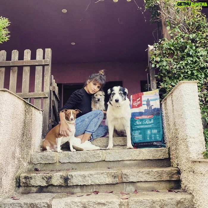Mónica Cruz - 9.1K Likes - ❤️
No les puedo querer mas!
A ver si encontráis a Juanita en la ultima foto… 😂
Como no, @orijen_es siempre con nosotros➡️Recetas cargadas de ingredientes de origen animal de calidad y sin cereales. Compruébalo tú mism@! 👀
#mimanada #perros #orijen #nutrecomoloharialanaturaleza #ad