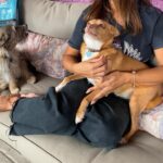 Mónica Cruz Instagram - Vivir en una manada de perros es vivir rodeada de felicidad🐾 Y para felicidad, la que hay en casa cada vez que me ven entrar con su saco de @orijen_es , marca en la que confío al 100% 💙 Porque si cuido mi alimentación, ¿cómo no voy a cuidar la suya? 🐶🐕 #manada #perros #orijen #nutrecomoloharialanaturaleza #ad