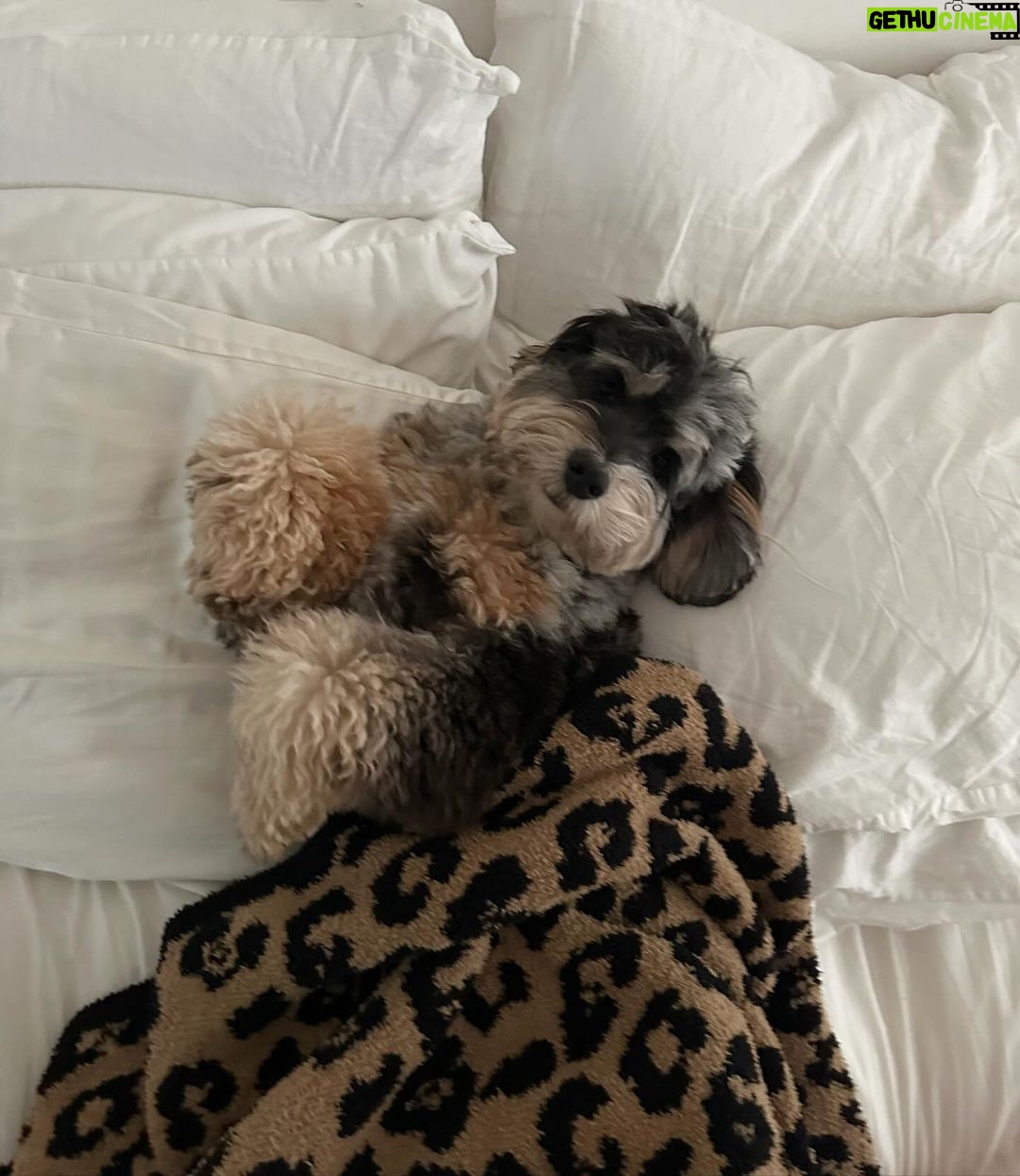Madison Beer Instagram - he wants to say happy new year to u all