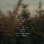 Madison Beer Instagram - 🌾 Silence Between Songs 🌾 the official album cover art !!! yours on 9/15 !!!!!!!!!!!