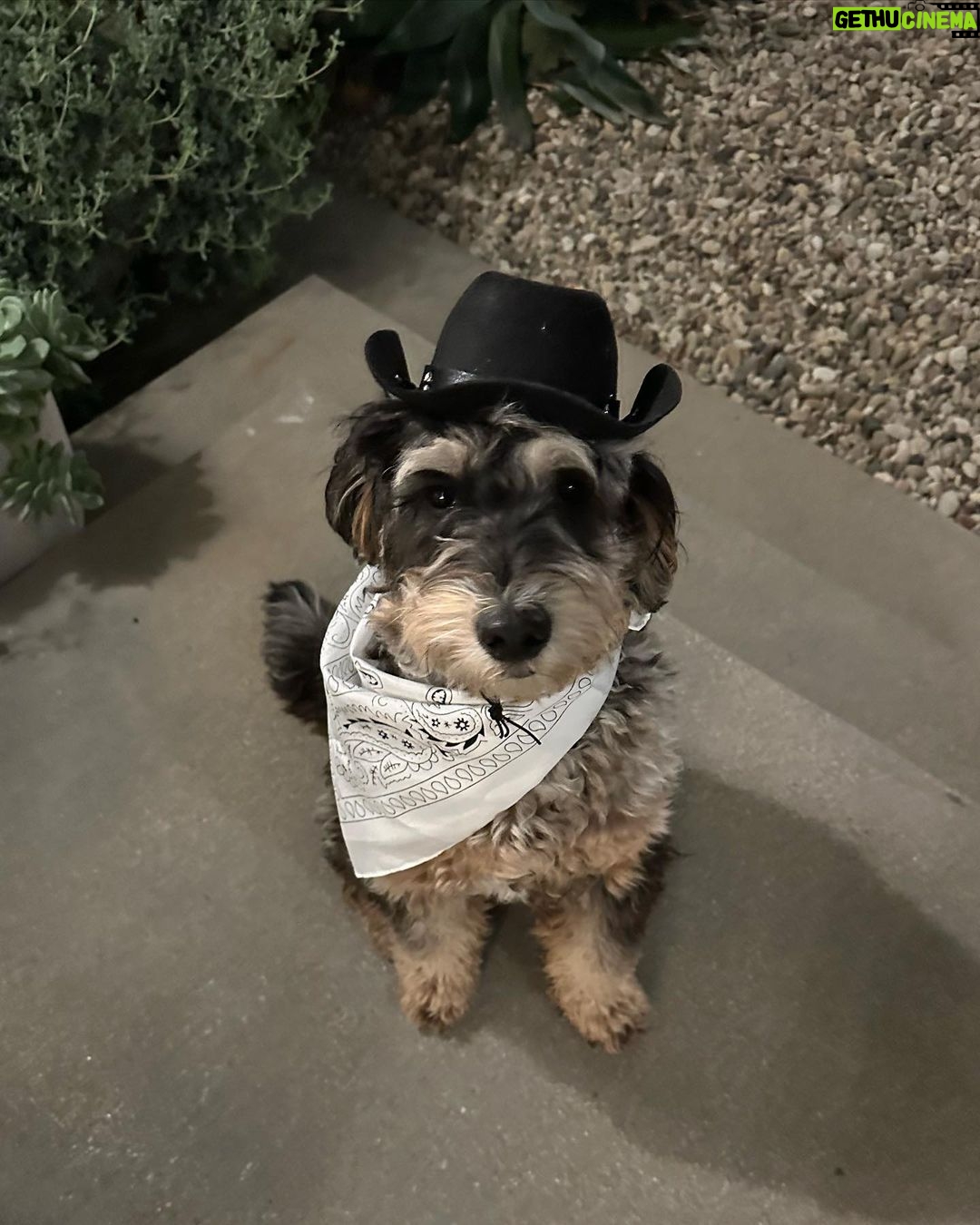 Madison Beer Instagram - how to have a perfect halloween