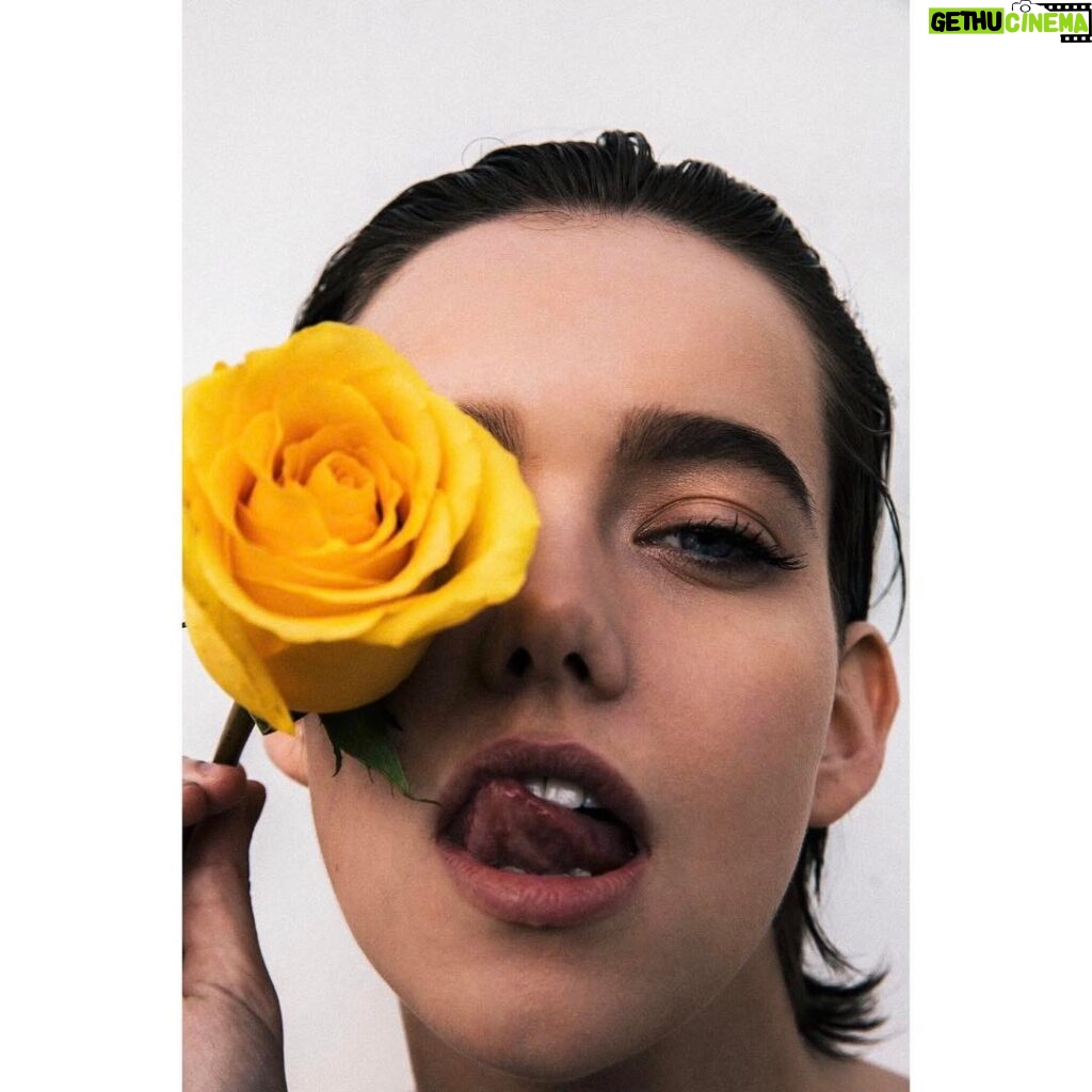 Maemae Renfrow Instagram - Roses are red, violets are blue... but this rose is yellow so .... what rhymes? think MaeMae think...... #mondays #maemae #maemae381 ... shot by @maxthompson