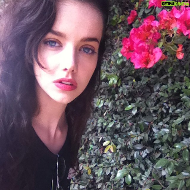 Maemae Renfrow Instagram - Pretty as a flower....... #maemae381 #maemae #kiss