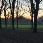 Maemae Renfrow Instagram - 🤯😍🙀 #breathtakingviews #amsterdam Amsterdamse Bos