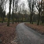 Maemae Renfrow Instagram - 🤯😍🙀 #breathtakingviews #amsterdam Amsterdamse Bos