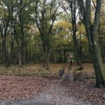 Maemae Renfrow Instagram - 🤯😍🙀 #breathtakingviews #amsterdam Amsterdamse Bos