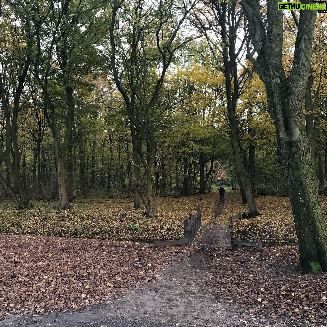 Maemae Renfrow Instagram - 🤯😍🙀 #breathtakingviews #amsterdam Amsterdamse Bos