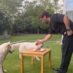 Mahendra Singh Dhoni Instagram - Thanks a lot for all your warm wishes, a glimpse of what I did on my birthday.