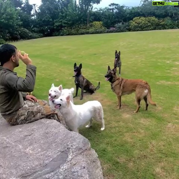 Mahendra Singh Dhoni Instagram - A bit of hugging,training, catching practice and getting unconditional love in return.priceless