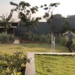 Mahendra Singh Dhoni Instagram – ZOYA(Dutch shepherd) does some training and LILY(husky) does the cheering job
