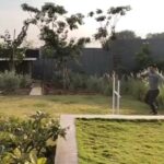 Mahendra Singh Dhoni Instagram - ZOYA(Dutch shepherd) does some training and LILY(husky) does the cheering job