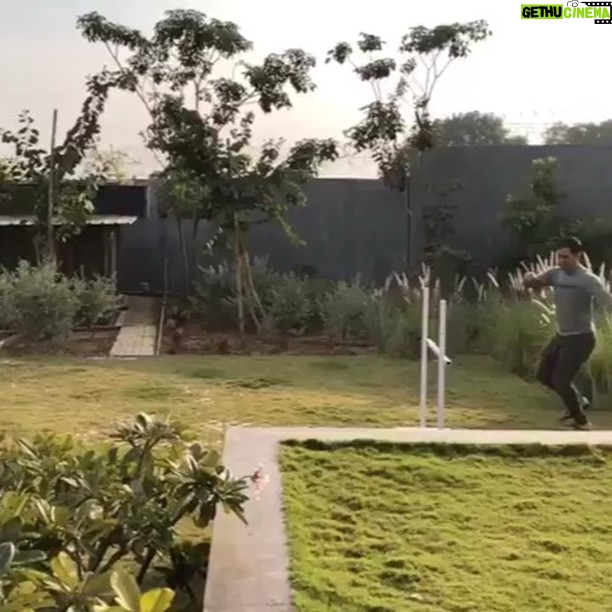 Mahendra Singh Dhoni Instagram - ZOYA(Dutch shepherd) does some training and LILY(husky) does the cheering job