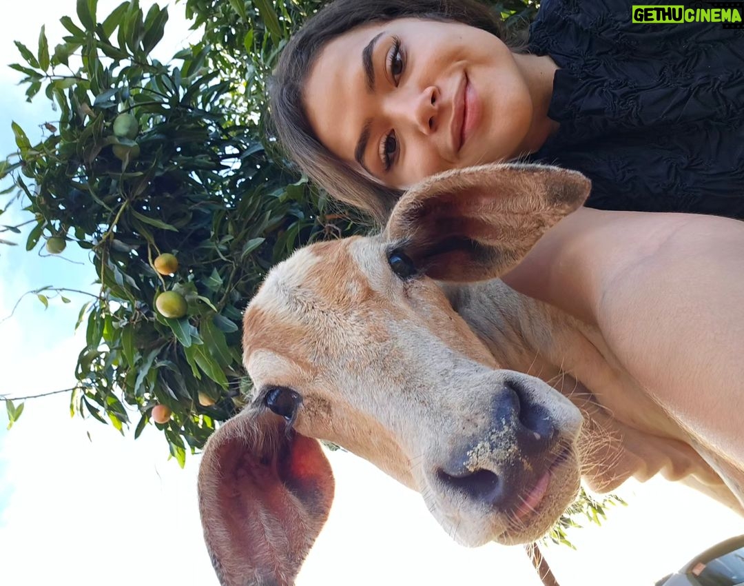Maisa Silva Instagram - férias da hannah montana 🤠🎄👢🎬💋 obs: a bezerra gabizinha é mt diva nas selfies né