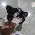 Maisa Silva Instagram - como a vida tem sido, etc 🤹‍♀️
