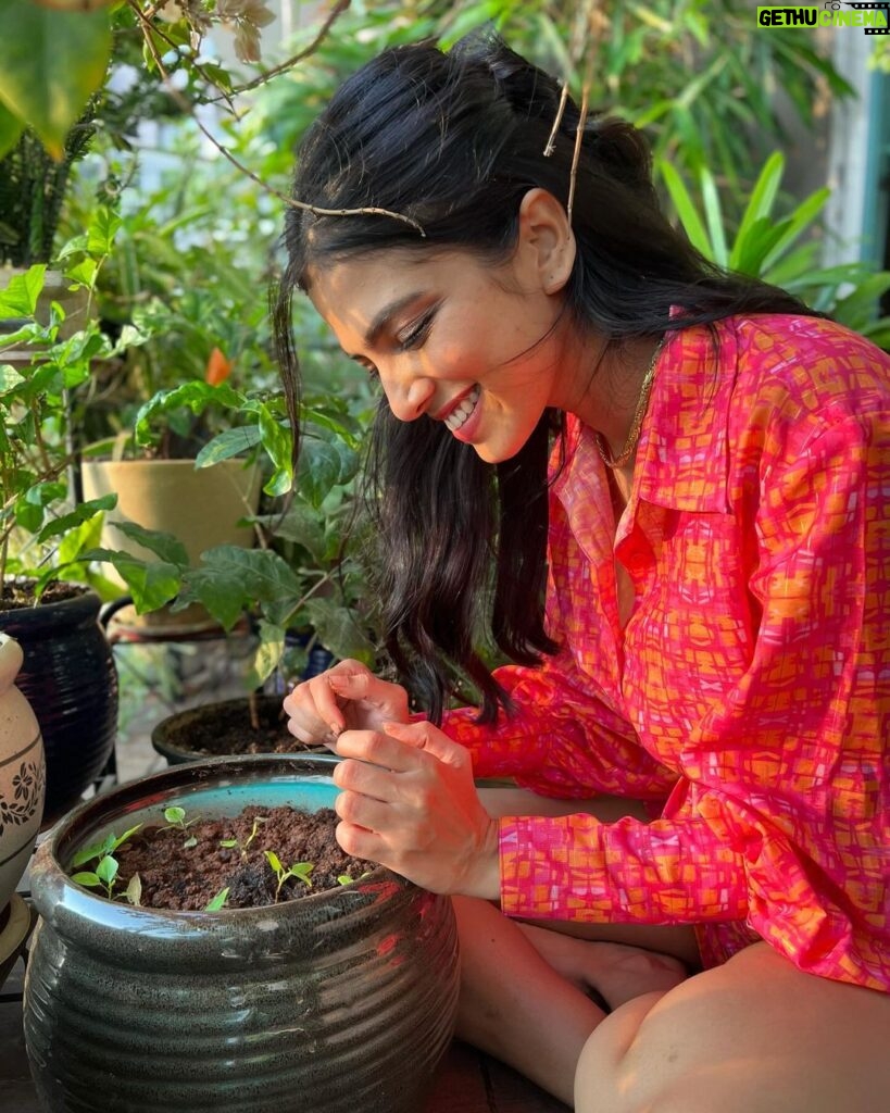 Malavika Mohanan Instagram - Some 🌱🌱playing followed by the world cup final..perfect sunday at home after a long time of being away 💕