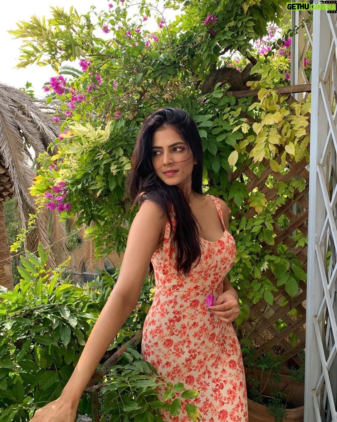 Malavika Mohanan Instagram - What a colourful & wonderful month you were, October ♥️