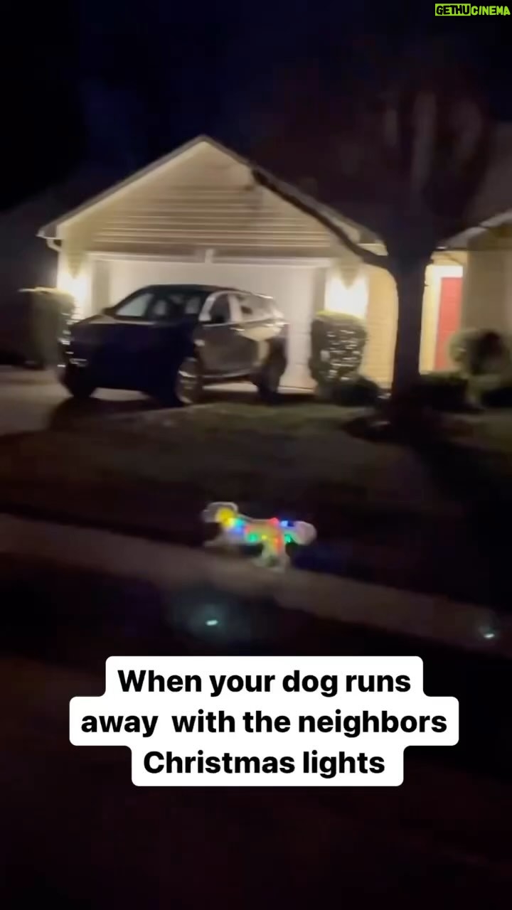 Malik Yoba - 2.8K Likes - When your dog is auditioning to be a reindeer?? Purnell for the win! 😂😂😂