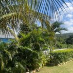 Malik Yoba Instagram - Give Thanks! Every Time! 🇯🇲🇯🇲🇯🇲 Jamaica
