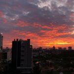 Maninath Chakravarthy Instagram - life lately