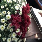 Maninath Chakravarthy Instagram - life lately