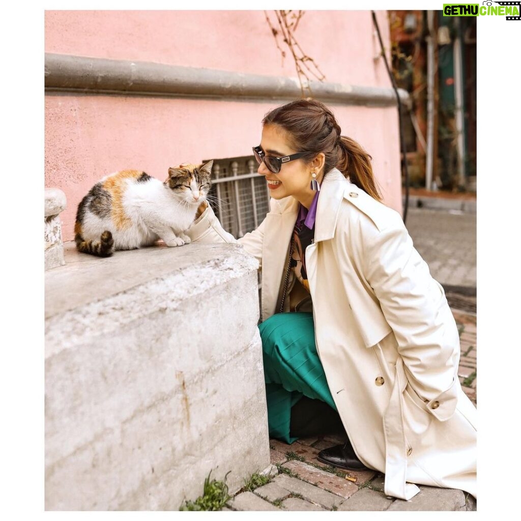 Mansha Pasha Instagram - Who doesn’t always have some time for love and cuddles 🐈 PC @istanbulphotosession