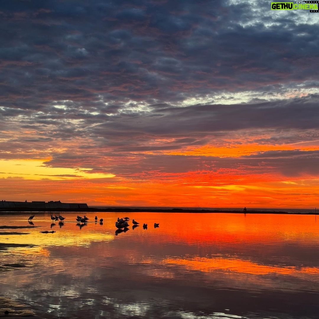 Marc Priestley Instagram - Got up at 5:30 to see this amazing sunrise in Newcastle NSW this morning. So worth it.