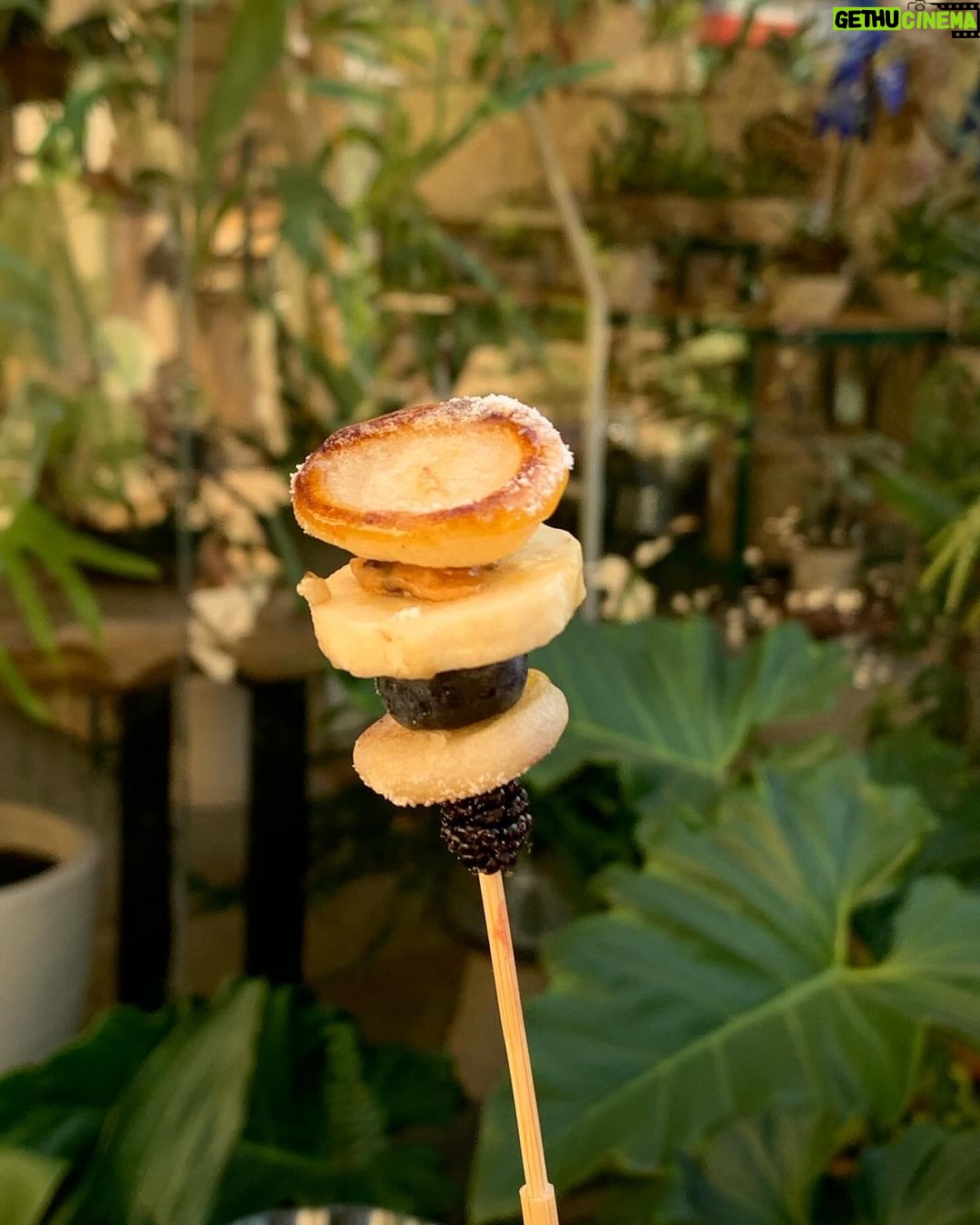 Marcella Landeiro Instagram - só pra avisar que eu comecei uma curadoria de opções vegetarianas em goiânia no @goianiavegetariana 😋 Goiânia, Brazil
