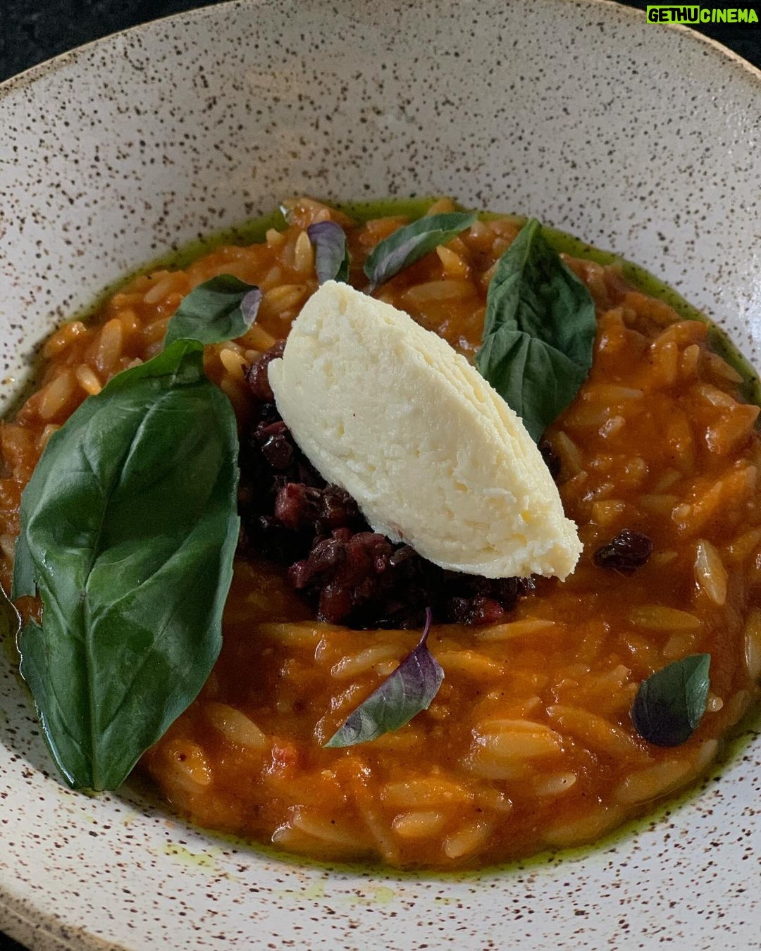 Marcella Landeiro Instagram - só pra avisar que eu comecei uma curadoria de opções vegetarianas em goiânia no @goianiavegetariana 😋 Goiânia, Brazil