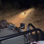 Maria Hinojosa Instagram - 🌍🦏 🐘 🦁🥰 Enjoy!