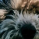 Mariana Mazza Instagram - La prunelle de mes yeux. Par @miroslavfilm . Tu es le meilleur capteur de souvenirs. Je t’aime.