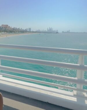 Marina Ruy Barbosa Instagram - 48h in Dubai and Abu Dhabi 💓 um pequeno recorte de dias felizes. vivendo por aí! :)