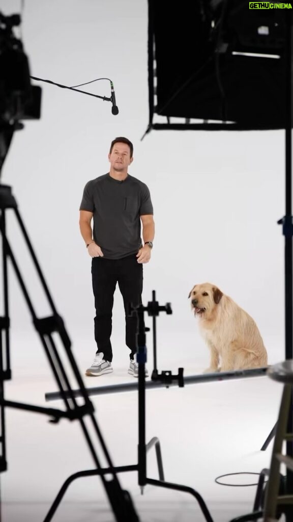 Mark Wahlberg Instagram - I understand everything he’s saying 🐶🤣 don’t miss @arthurthekingmovie only in theaters March 15th. 🔥❤️🐶