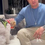Mark Wahlberg Instagram - Champ loves the drip🔥🐶 @municipal after all he has his own shirts📈🐶💯🥳 #MunicipalPartner